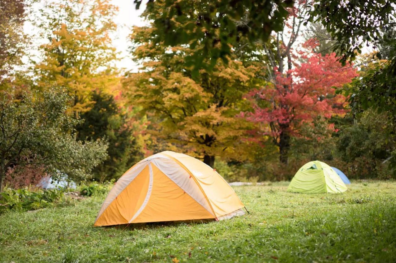 D Acres Farm - Campground Hotel Rumney Exterior photo